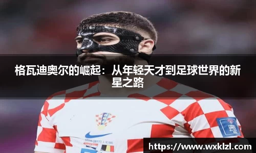 完美.(中国)体育官方网站