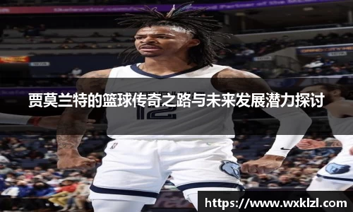 完美.(中国)体育官方网站