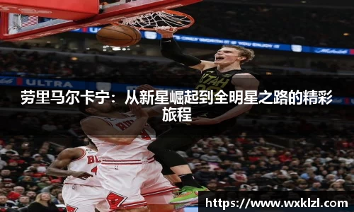 劳里马尔卡宁：从新星崛起到全明星之路的精彩旅程